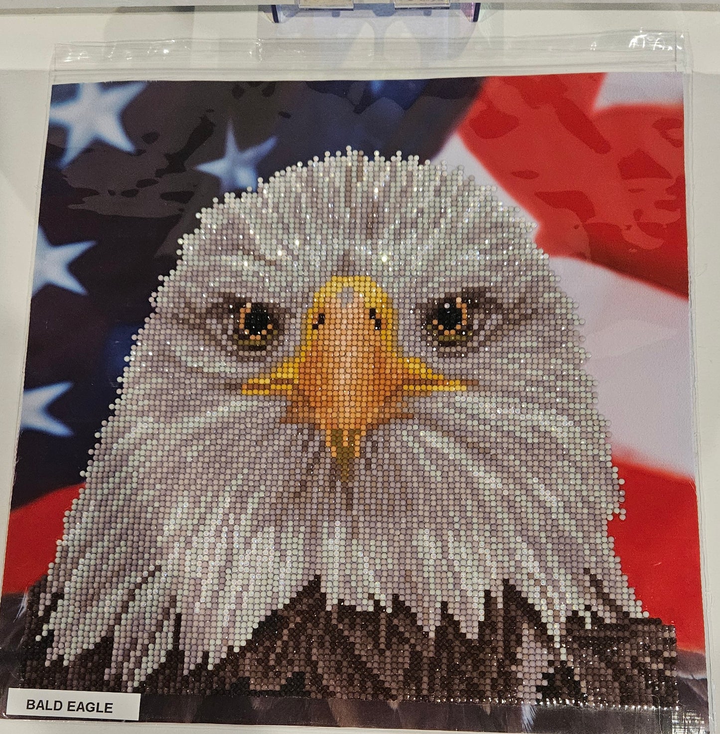 Bald Eagle with flag